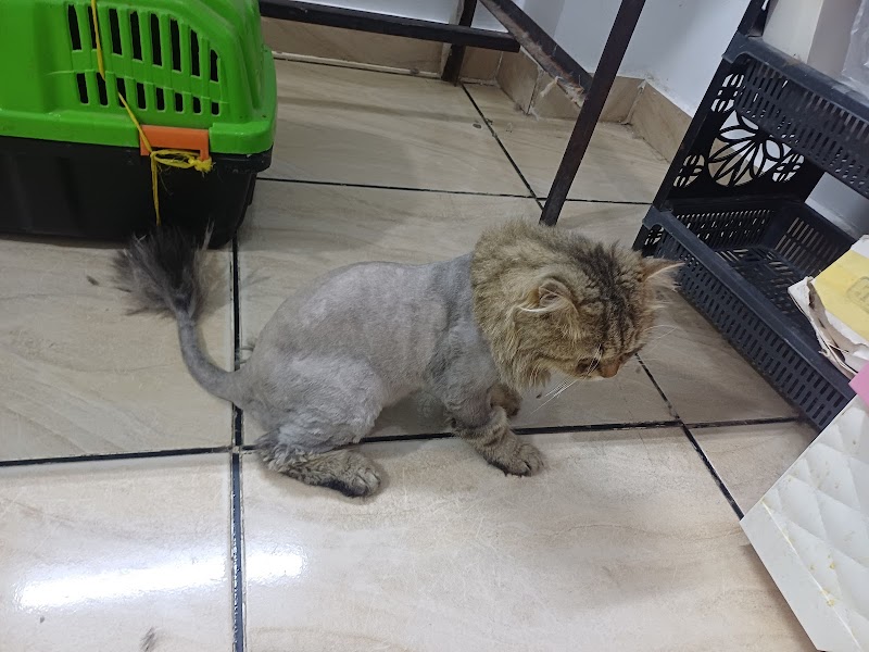 Total pet care center (Dr Mahmoud Helmy) - صورة 3
