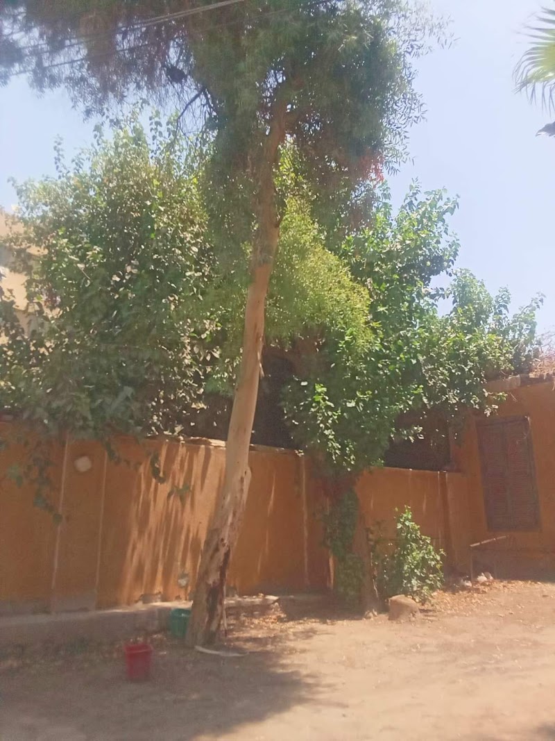 المعهد الفني للري والمساحة باسيوط (الصفحة الرسمية الوحيدة) - صورة 1