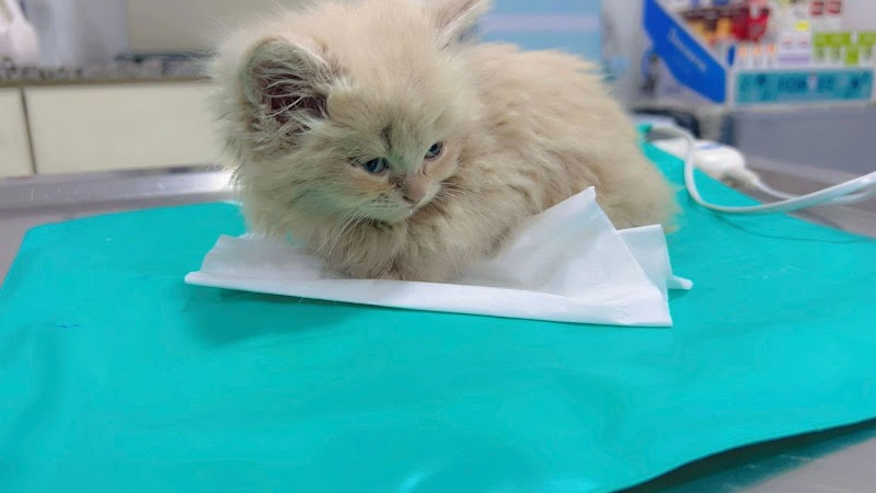 Moon Pets Veterinary clinic