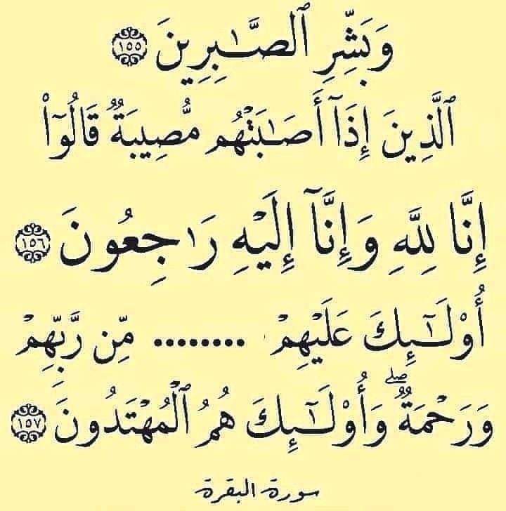 شركة الأمل للمقاولات العامة وأنشاء ورصف الطرق - صورة 2