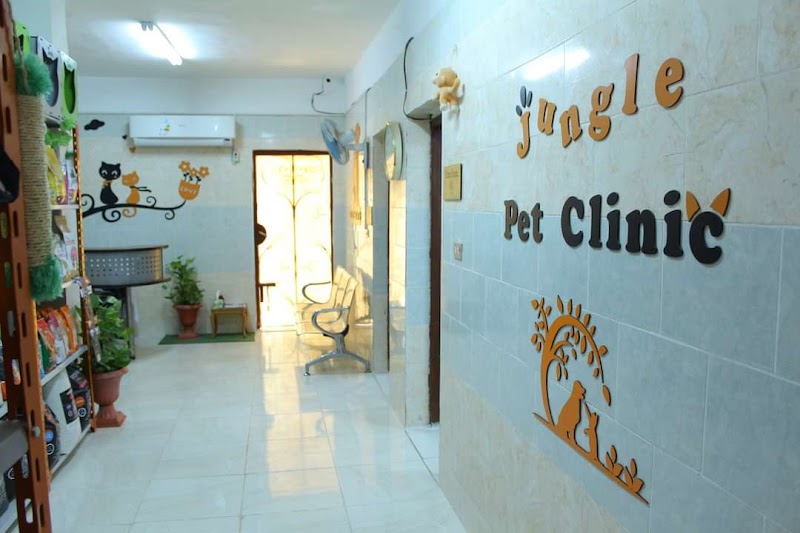 Jungle pet clinic