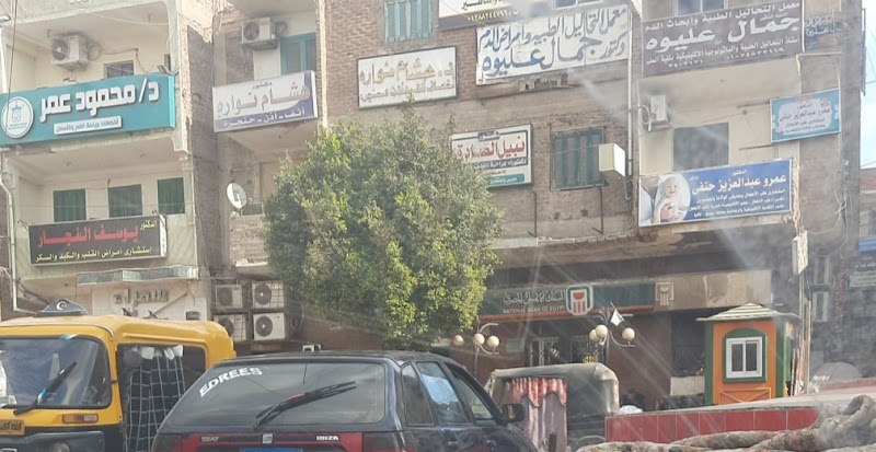 البنك الاهلى المصرى