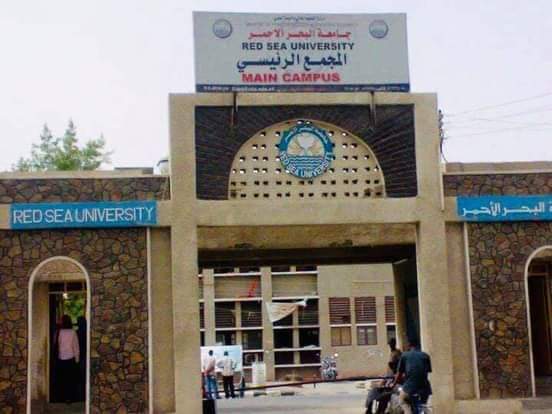 جامعة البحر الأحمر