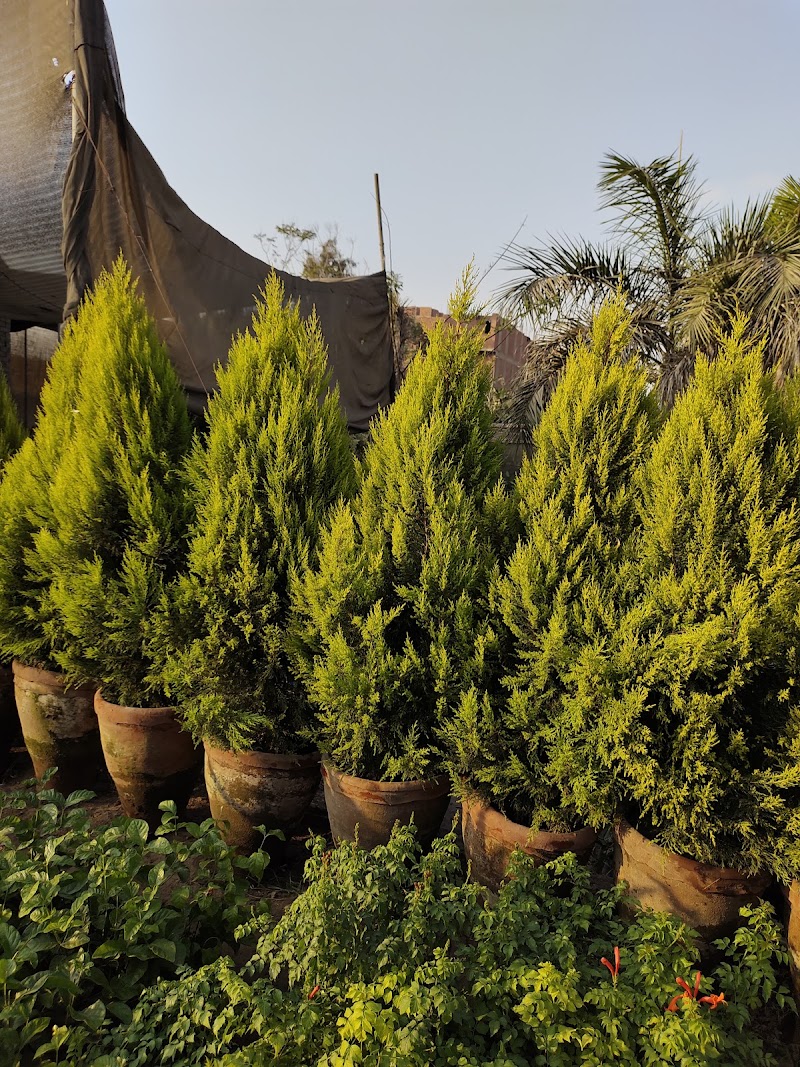 Al-Ikhlas Nursery (Abu Safin) - Photo 1