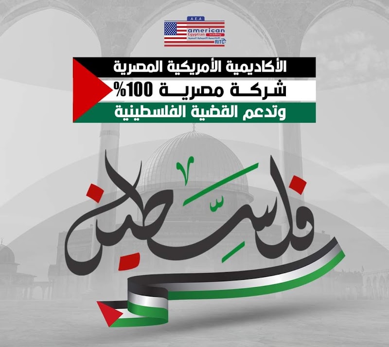 American Egyptian Academy