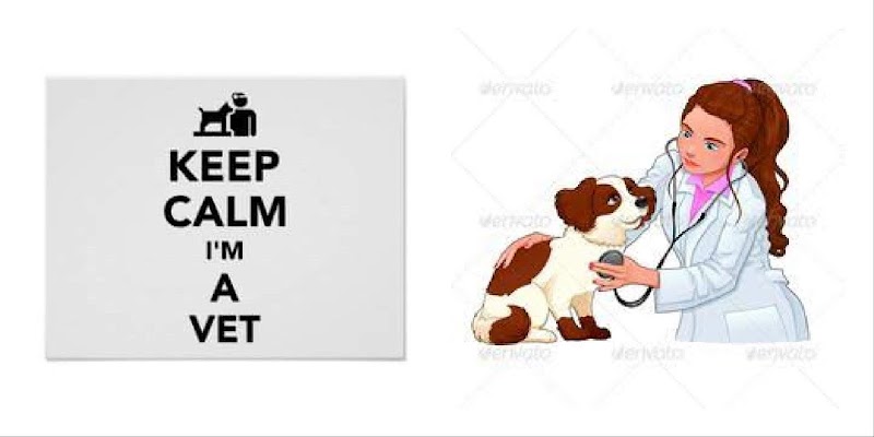 Dr.Nehal vet clinic العيادة البيطرية