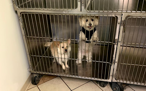 Bavaria Animal Clinic - عيادة د.محمد كمال البيطرية - Photo 1
