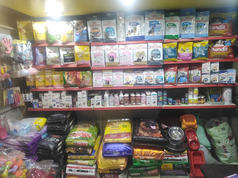 بابا دوجز Papa dogs - Photo 3