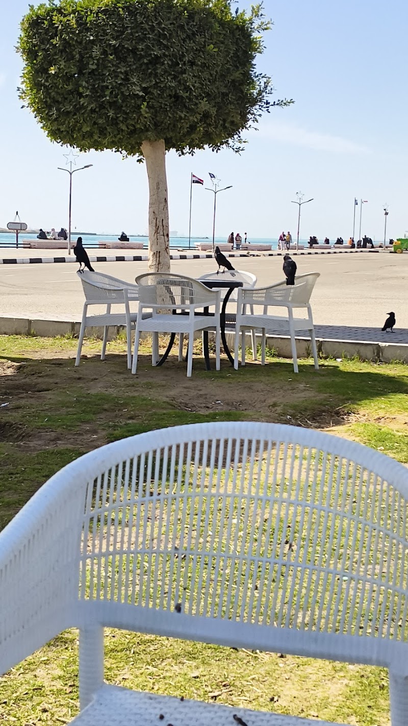 شركة البحر الاحمر للملاحة