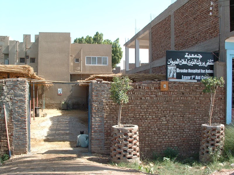 Brooke Hospital For Animals Office - Photo 1