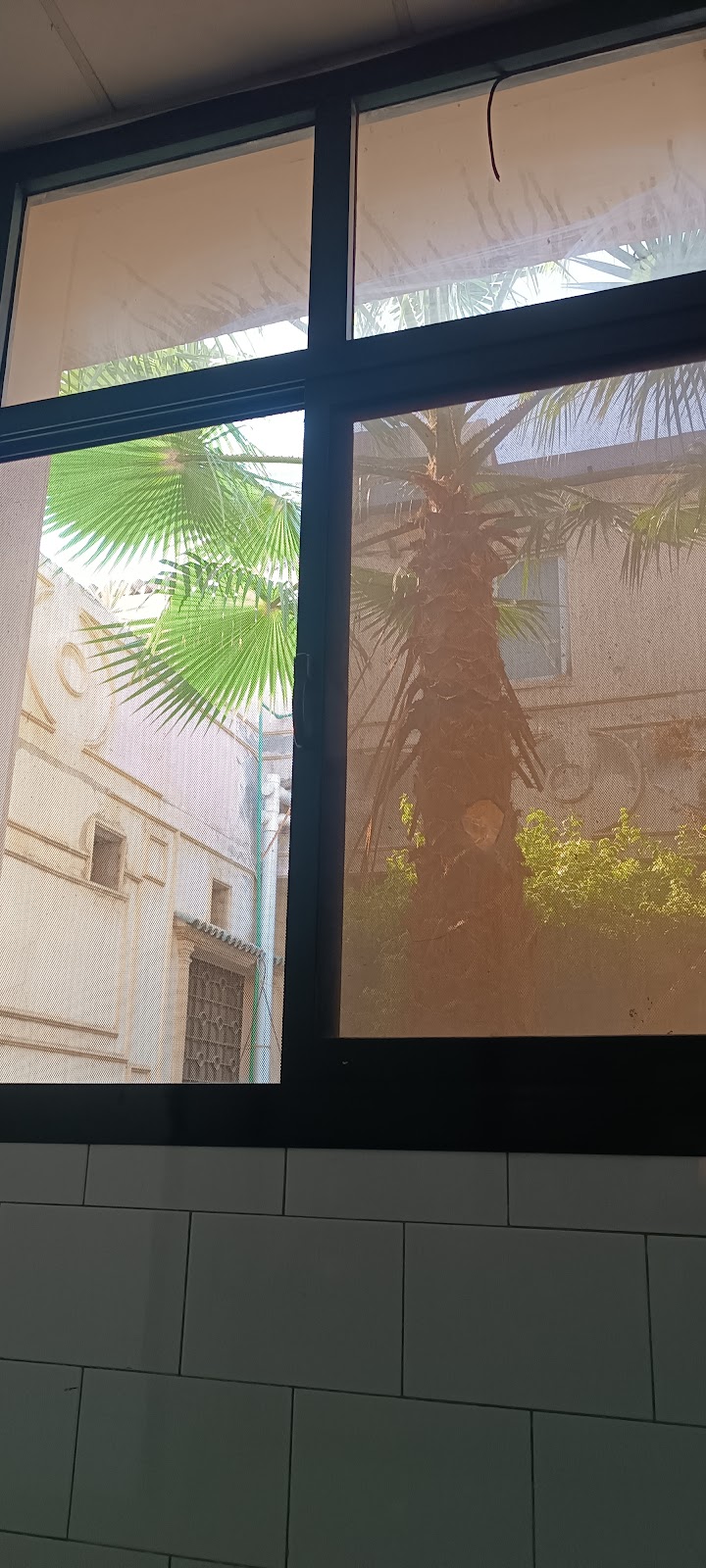 المركز الطبى بطنطا - صورة 3