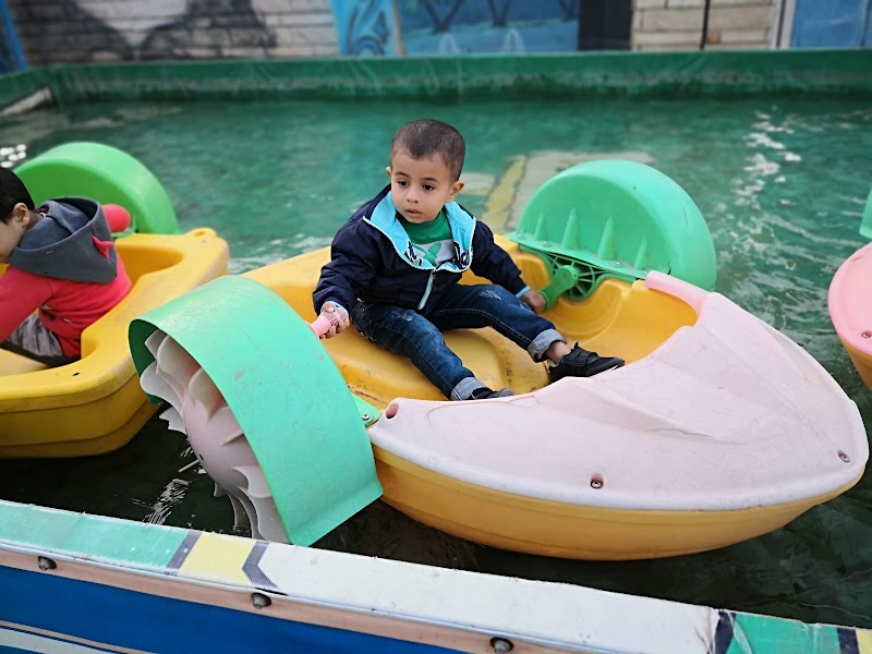 سفارى كافيه - صورة 2