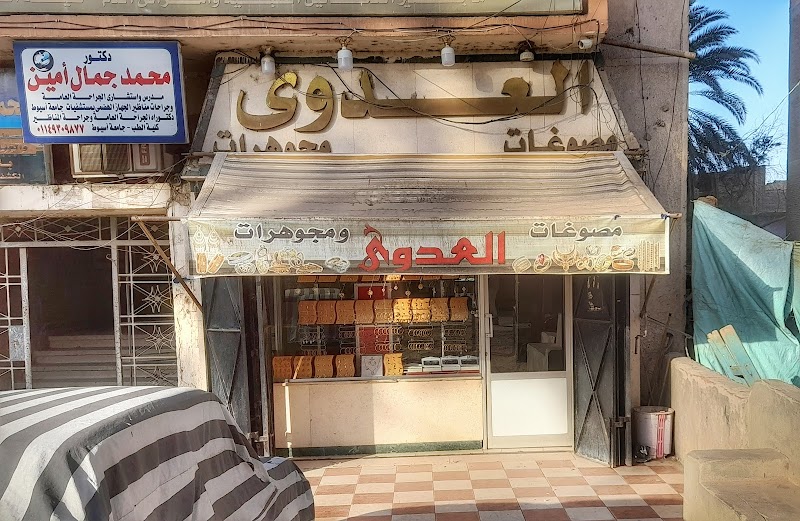 مصوغات و مجوهرات العدوي بمنقباد - صورة 1