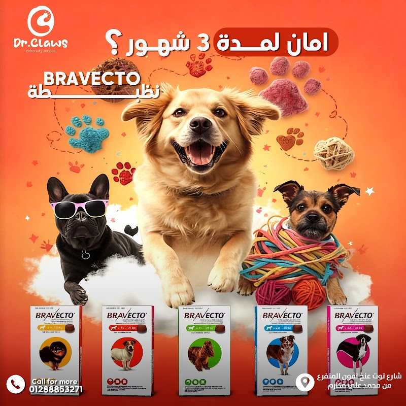 Dr.claws عياده بيطريه حيوانات اليفه - Photo 3
