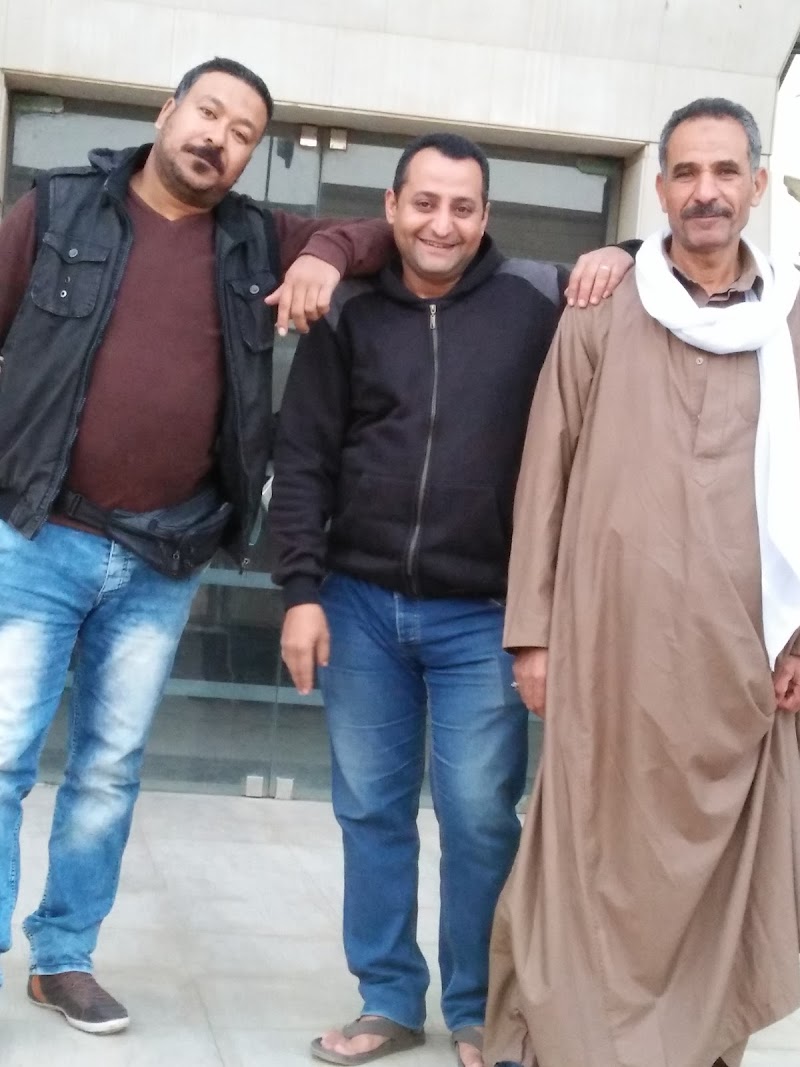 شركة ابو العلا للنسيج والتريكو والصباغة - صورة 3