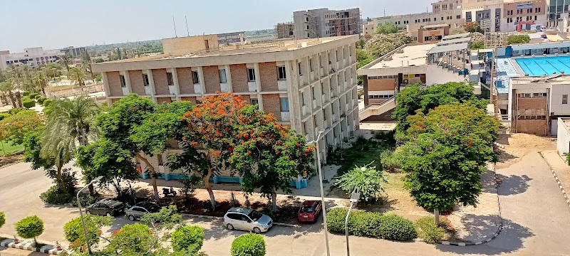 كلية التربية الرياضية جامعة المنيا - صورة 2