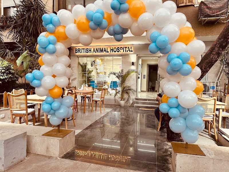 British Animal Hospital - Sheraton - صورة 2