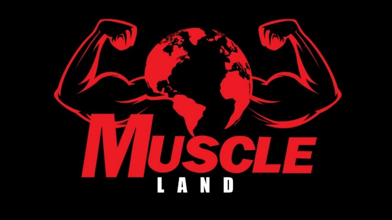 Muscle Land _ GYM - Photo 2