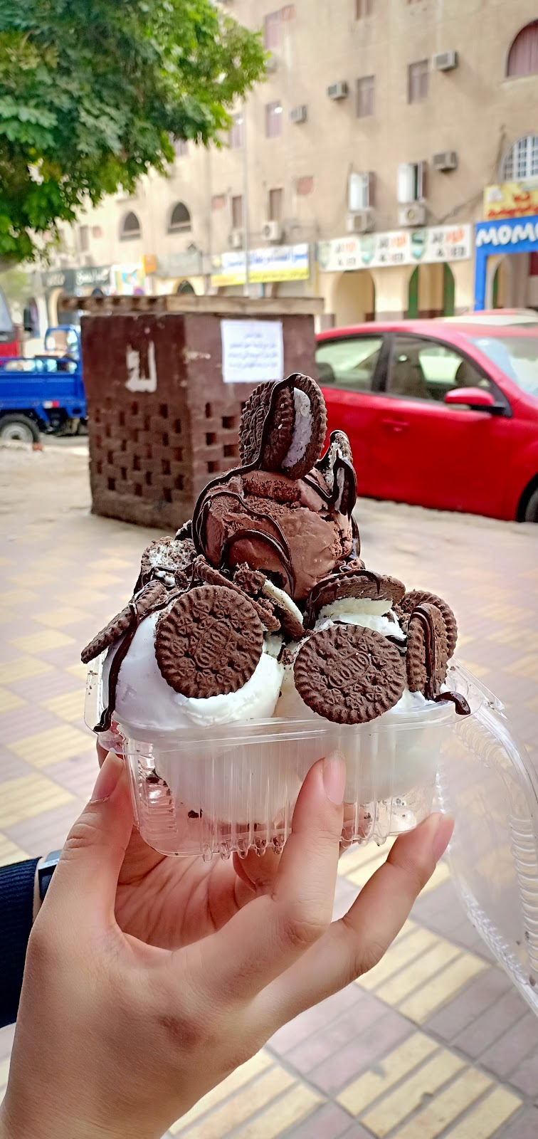 blueberry - صورة 1