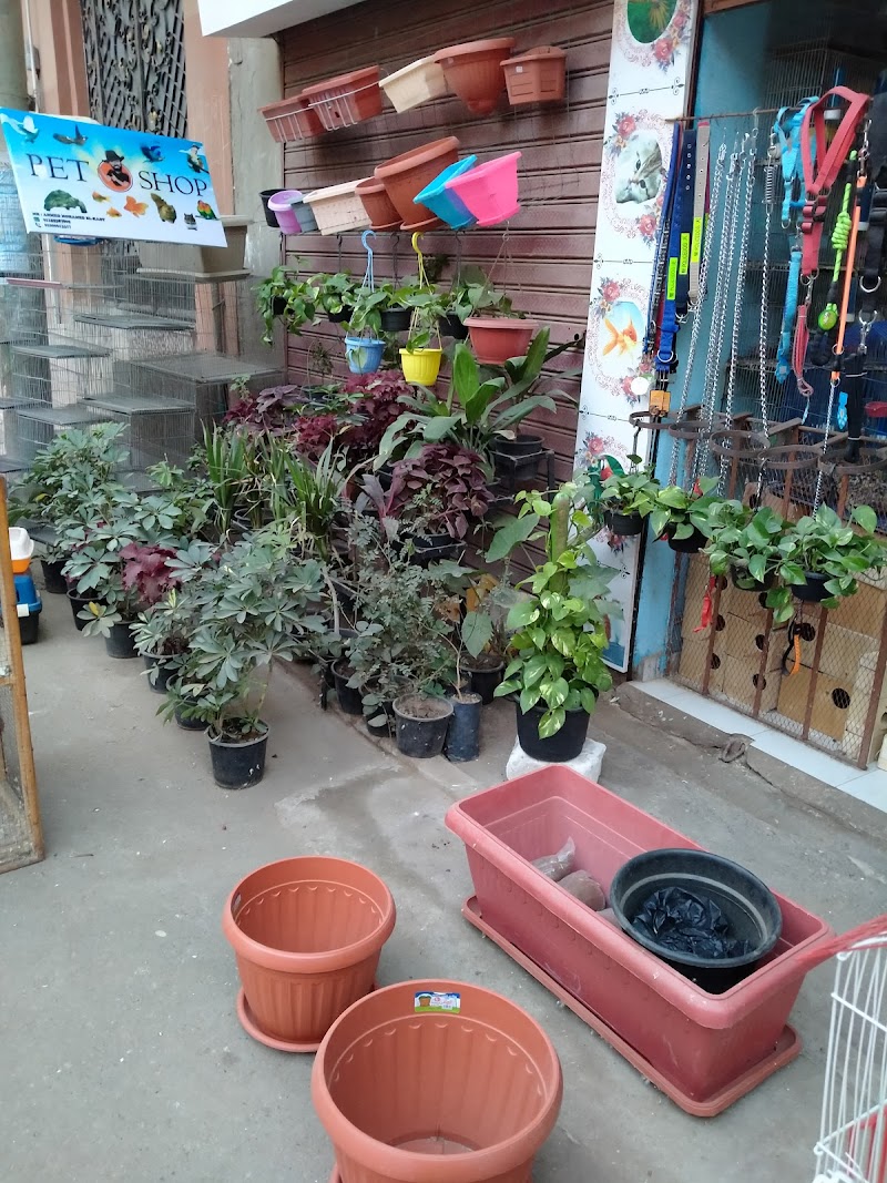 Pet and Ornamental Plant Exhibition - Photo 1