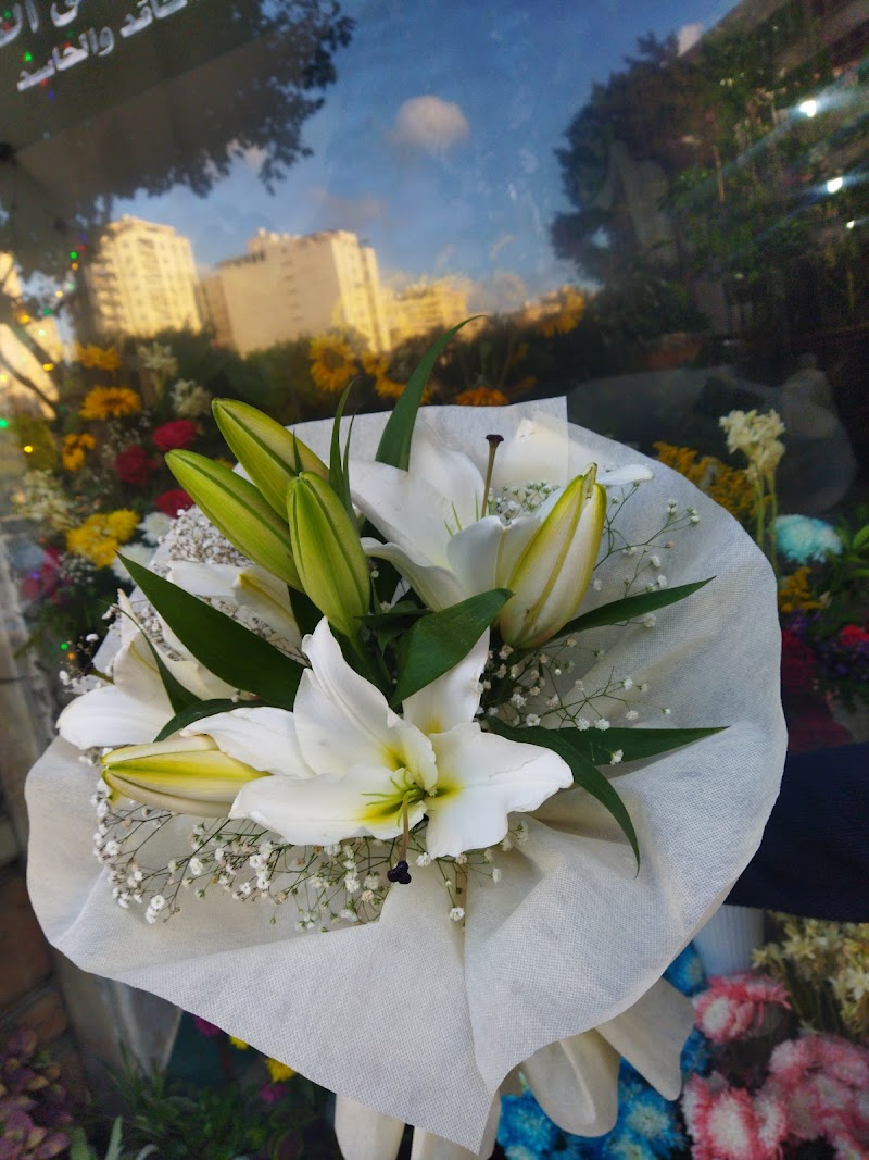 فار فلاورز - صورة 3