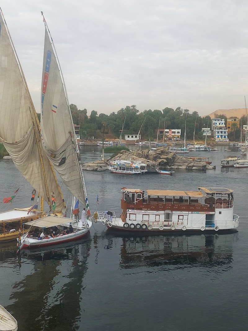 Aswan Tours - Photo 1