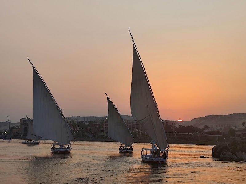Aswan City - صورة 3