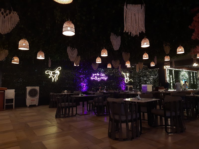 Solo Cafe and Restaurant - صورة 1