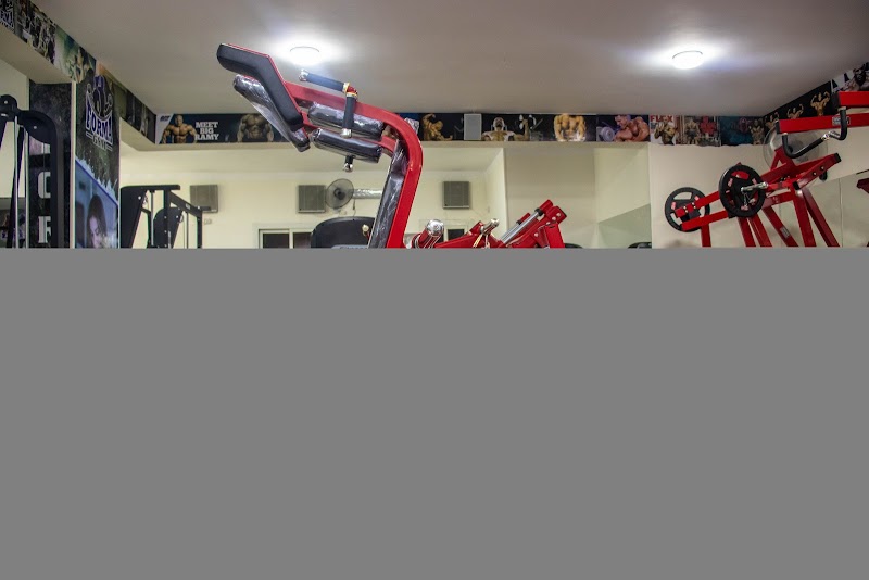 Forma gym zag - صورة 2
