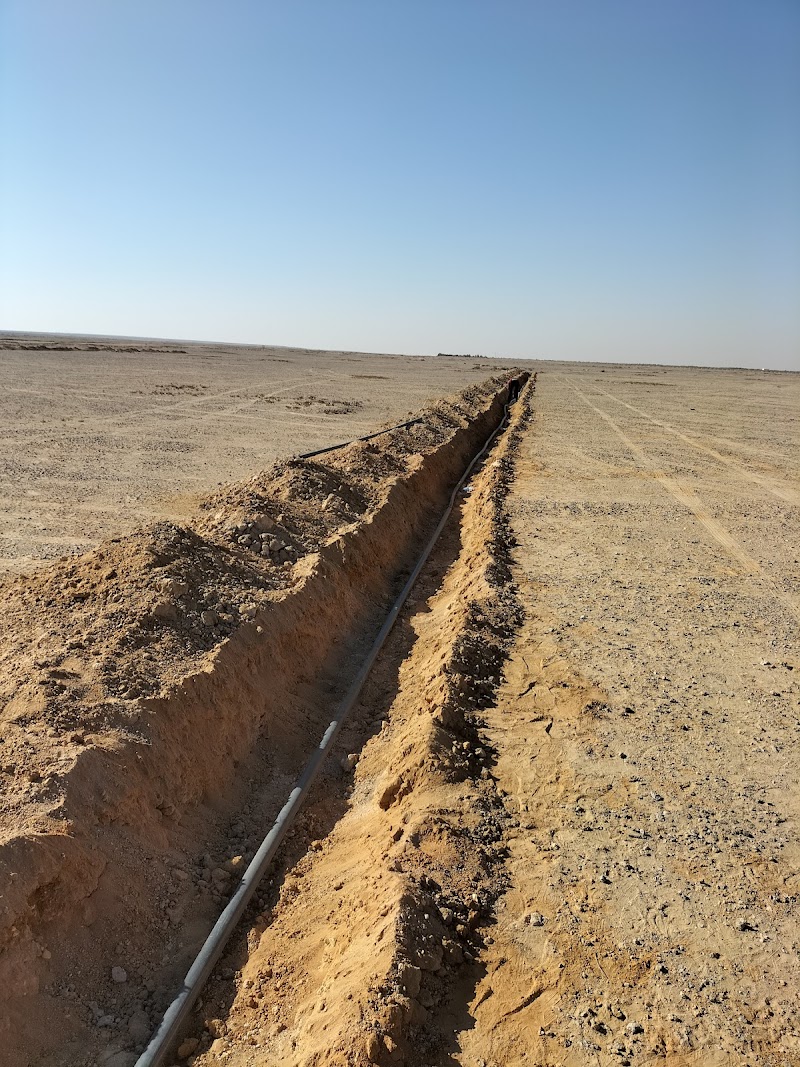 شركة الصعيدي للمقاولات والتنمية الزراعية