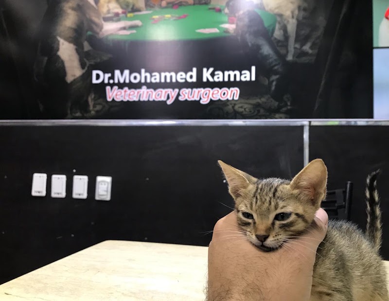 . - العيادة البيطرية