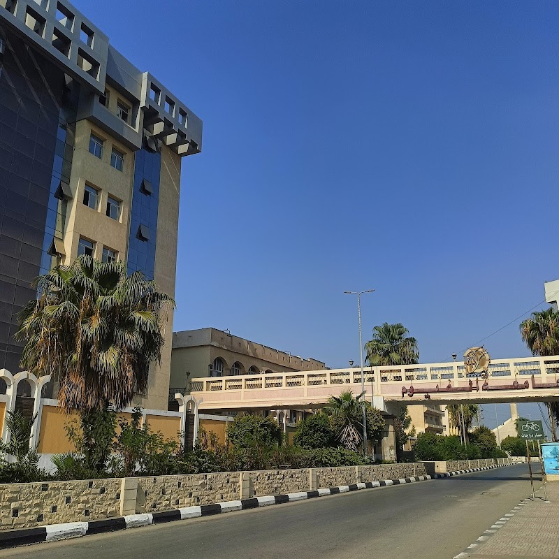 Fayoum University - Photo 3