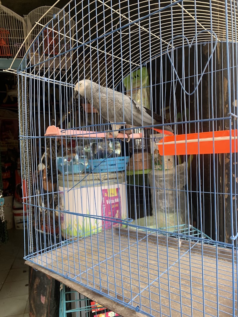 Pets home للحيوانات الأليفة - Photo 1