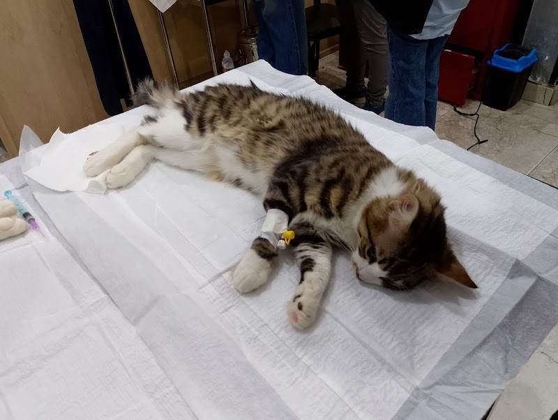 Veterinary clinic - Photo 1