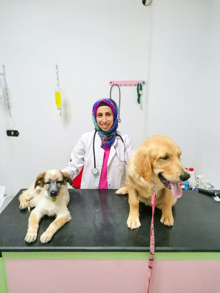 Petallica Vet Clinic