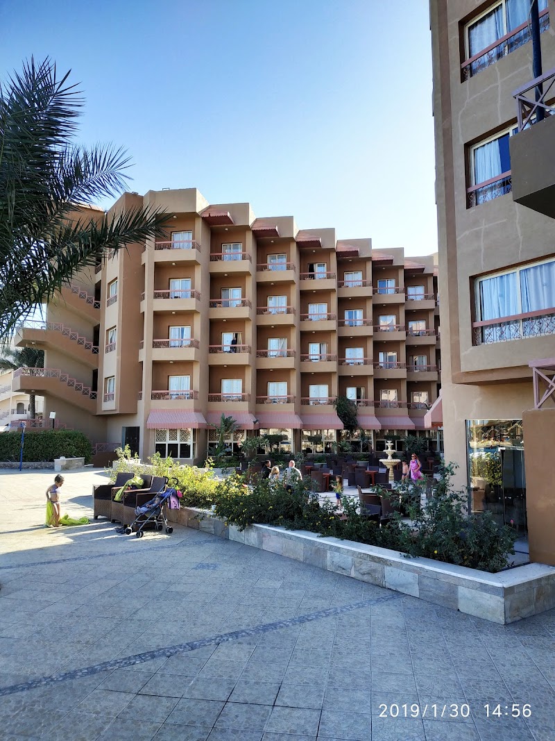 سوبر ماركت المدينة المنورة الأقالتة - Photo 3
