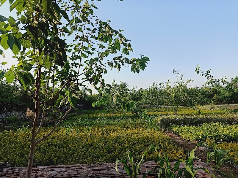 GAD landscape - Photo 2
