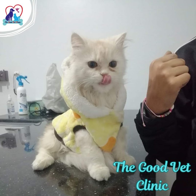 The good vet clinic - صورة 1