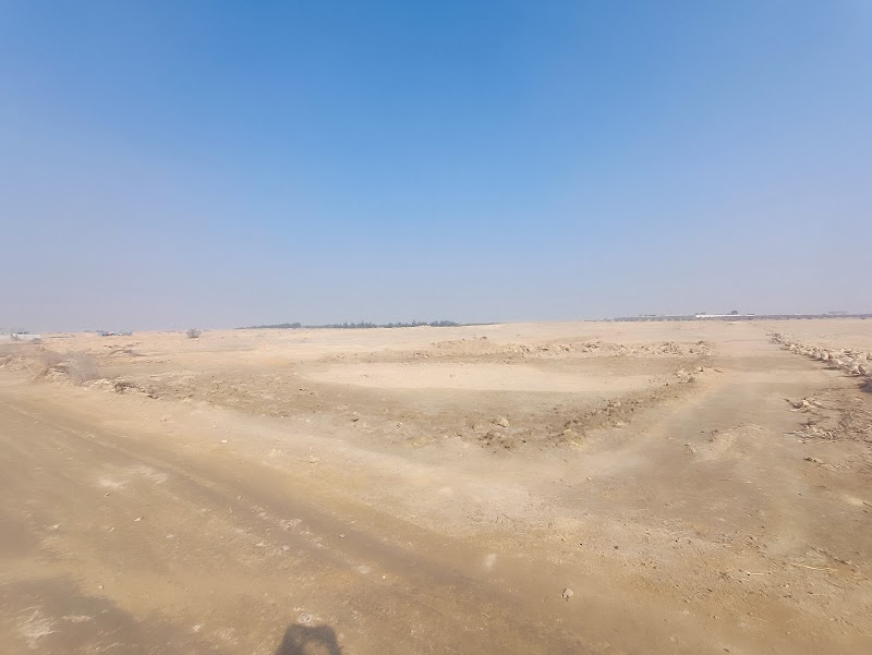 Yazaki Egypt - Photo 1