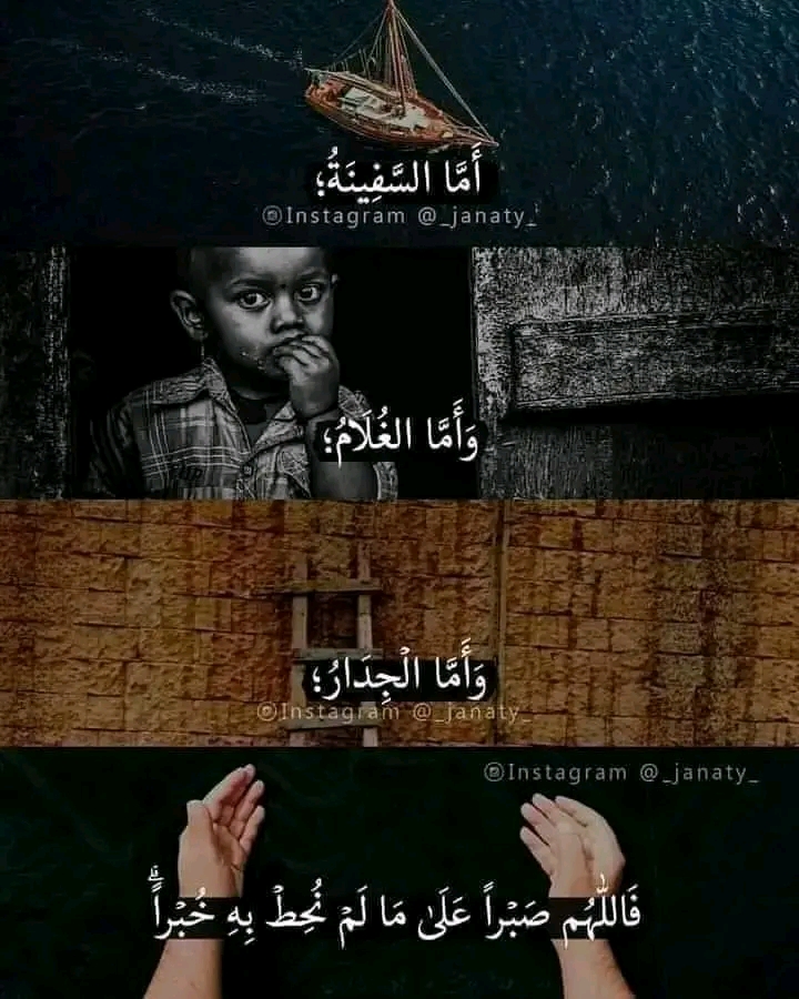 Eltaweel Shops الطويل للادوات المنزلية والمفروشات والملابس - Photo 2