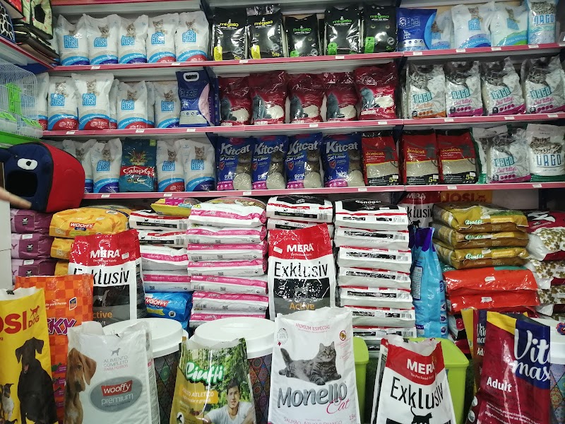Pet world