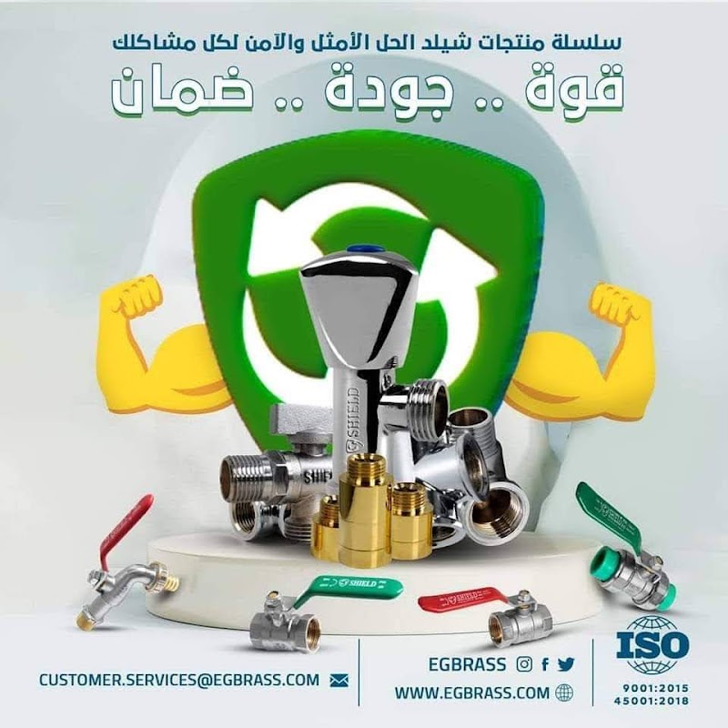 المصريه للمقاولات والتوريدات العموميه - صورة 2