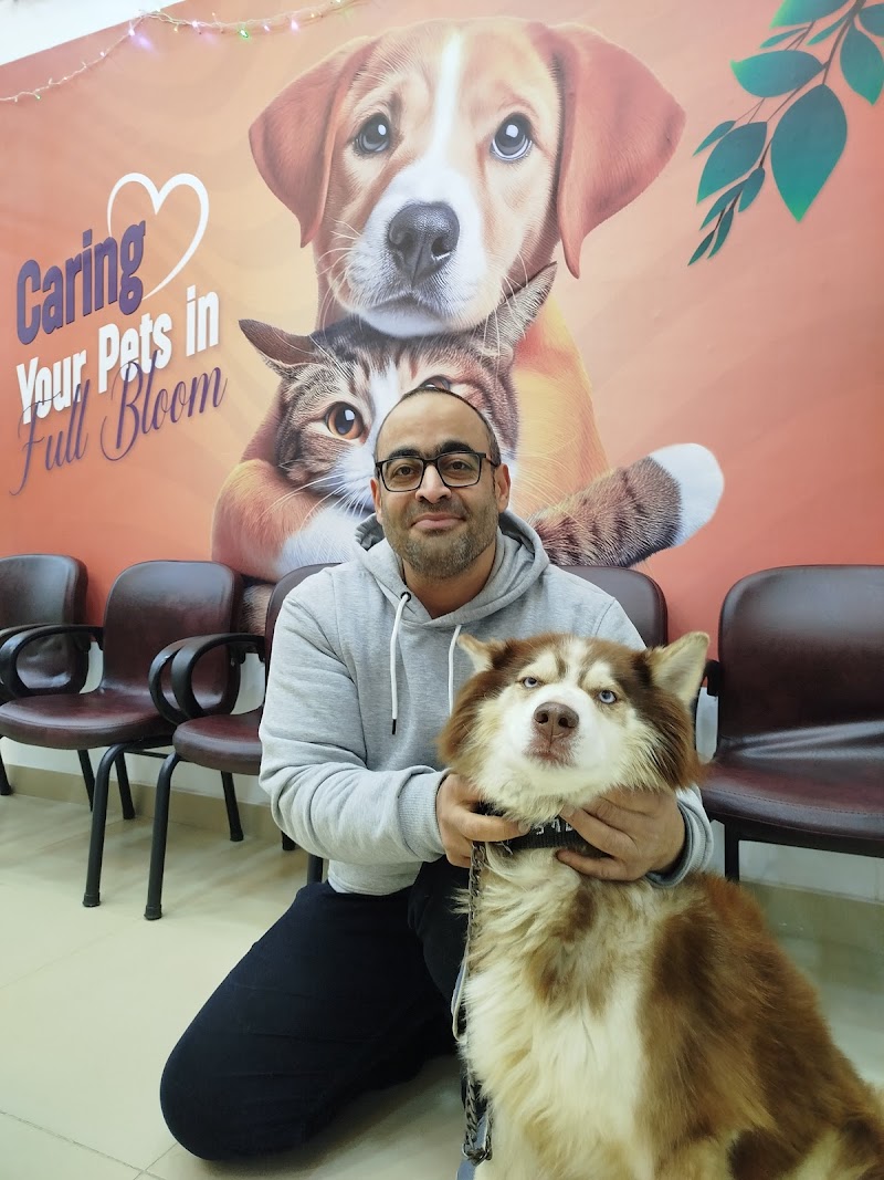 Bloom Pets Clinic