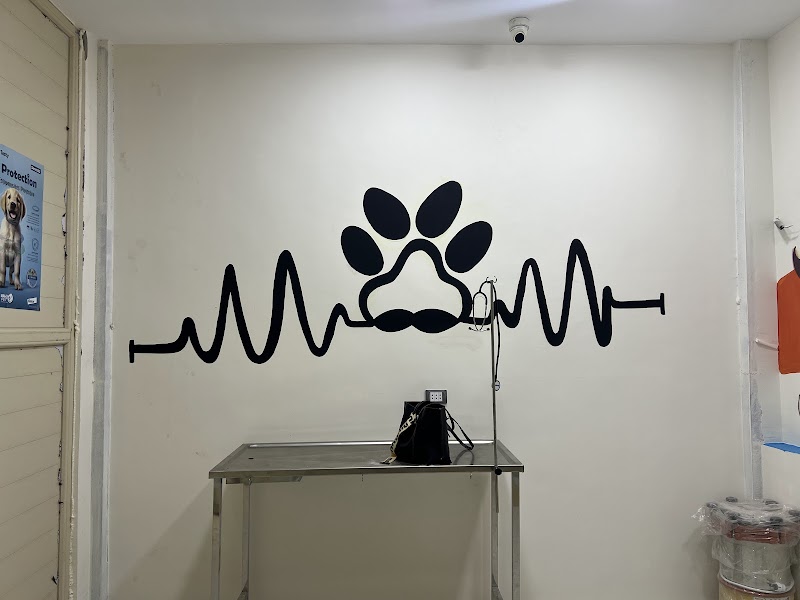 Pets Corner - Photo 2