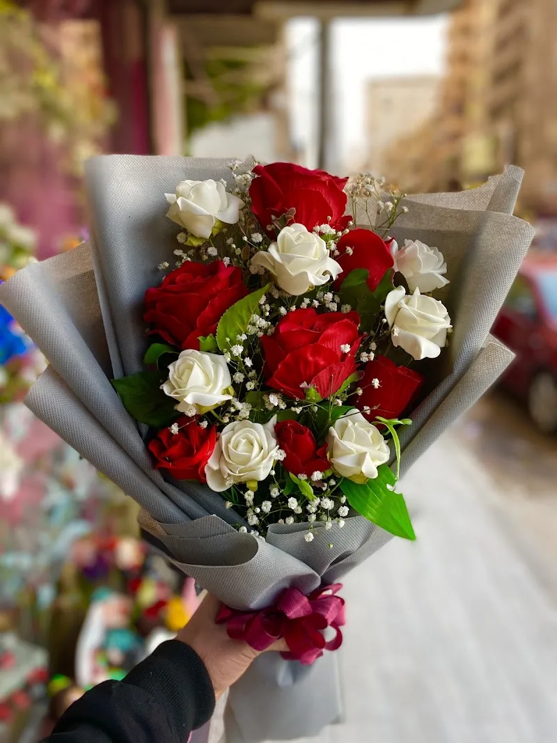 أزهار هولندا - صورة 2
