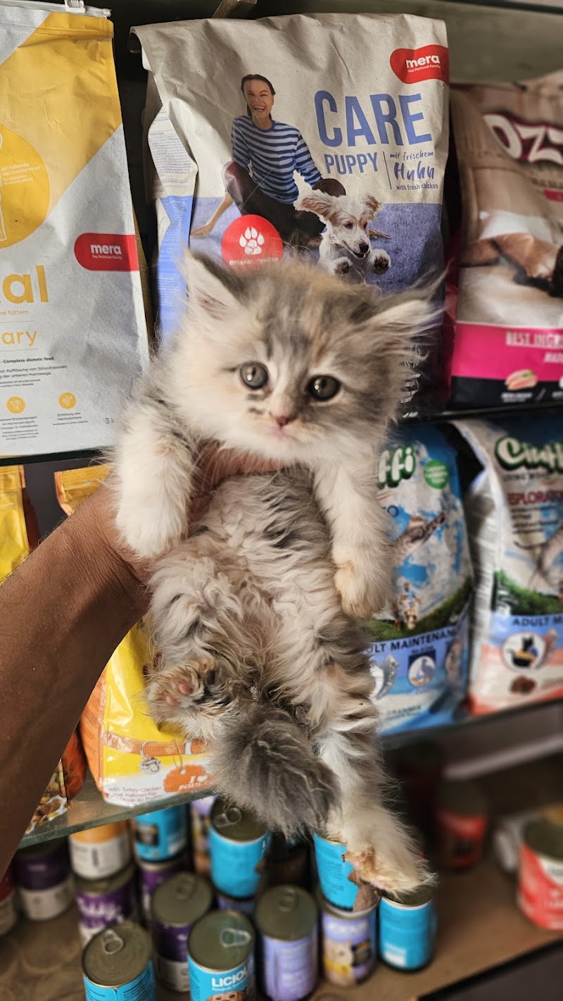 & El3alamy pets shop - Photo 1