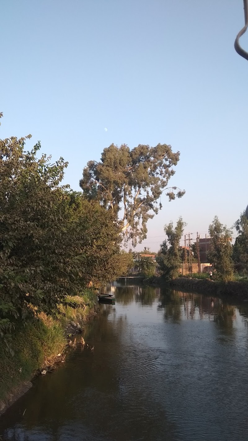 Massaya / قاعة مسايا - صورة 3