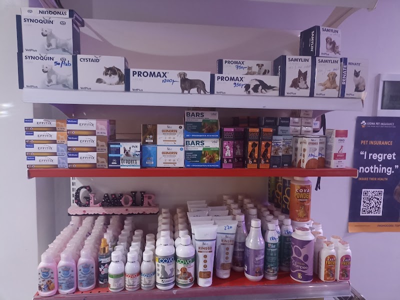 Top vets hurghada animal center - Photo 2