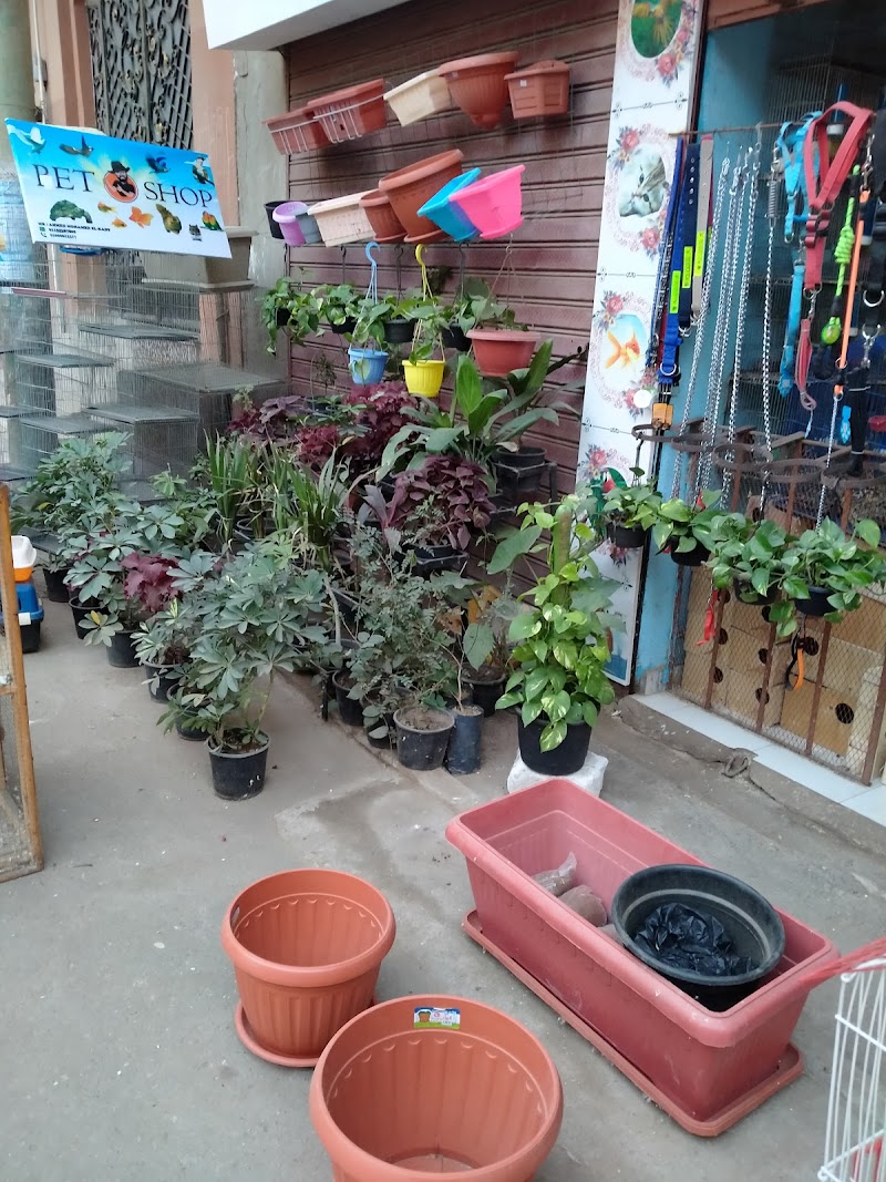 Pet and Ornamental Plant Exhibition - Photo 3