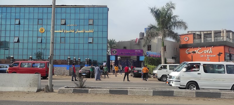 المعهد العالي للعلوم التجارية بالمحلة الكبري - صورة 1